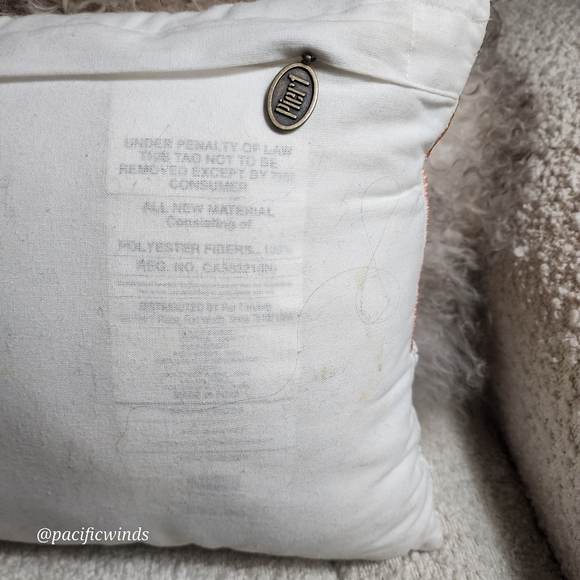 Pier 1 Imports Beaded Embroidered Lemon Orange Peach Fruit Pillow 16" x …      c - Picture 7 of 7